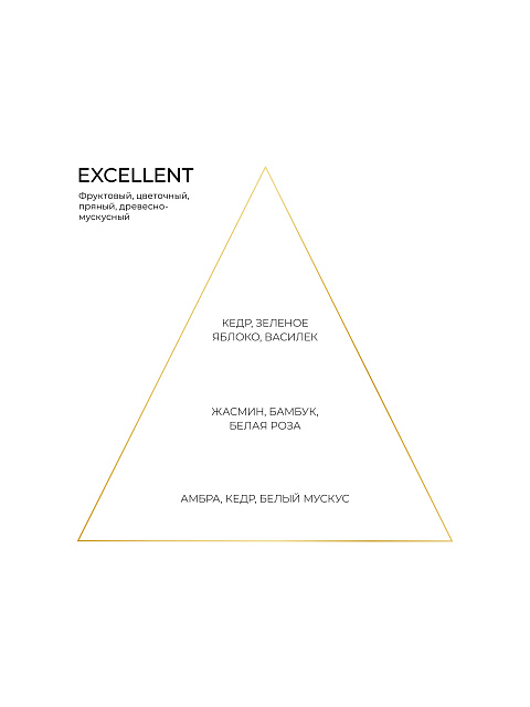 Аромат EXCELLENT 100 мл, 2