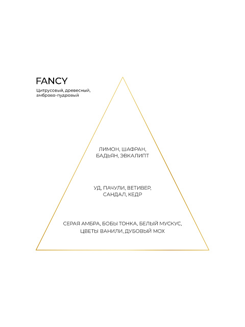 Аромат FANCY 100 мл, 2 Аромат FANCY 100 мл, 2